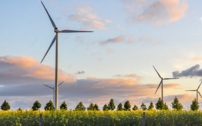 The Future of Renewable Energy: Why an Everglades Degree Is Your Best Bet