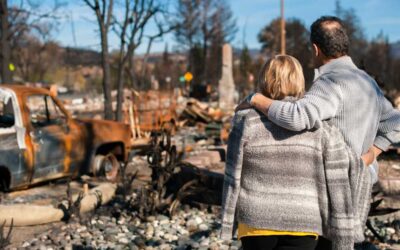 How Can I Prepare for a Career in Disaster Relief?