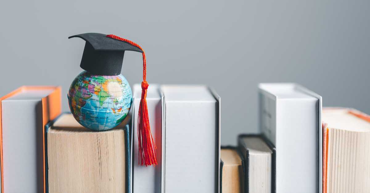 Skills You’ll Gain From a Business Degree and How They Apply to the