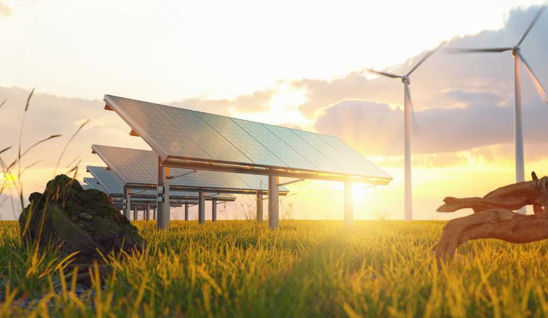 The Future of Renewable Energy: Why an Everglades Degree Is Your Best Bet