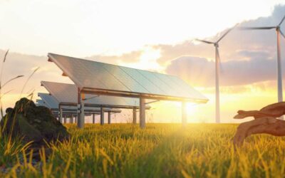 The Future of Renewable Energy: Why an Everglades Degree Is Your Best Bet