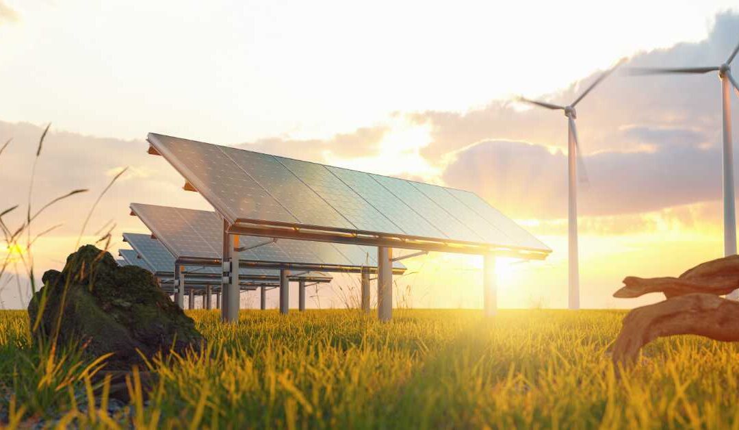 How Universities Are Adapting to the Growing Demand for Green Jobs