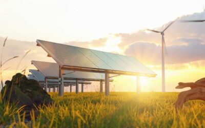 How Universities Are Adapting to the Growing Demand for Green Jobs